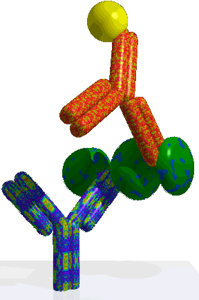 antibodies_basic_elisLayer1.gif